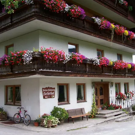 Bio-bauernhof 