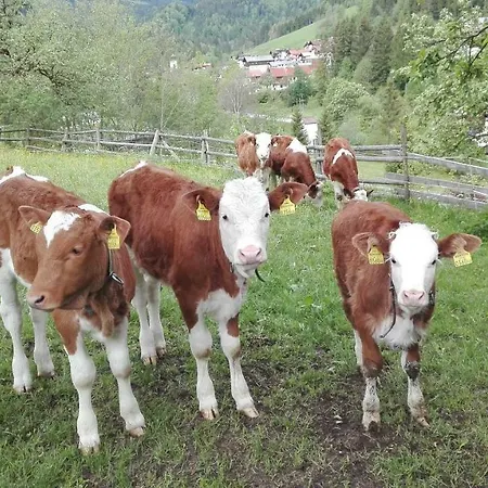 Bio-bauernhof 