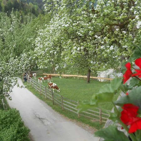 Bio-bauernhof 