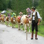 Bio-bauernhof 