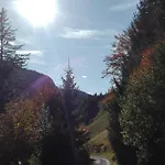Bio-bauernhof 