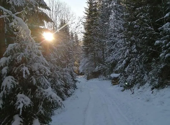 Bio-bauernhof Hecherhof