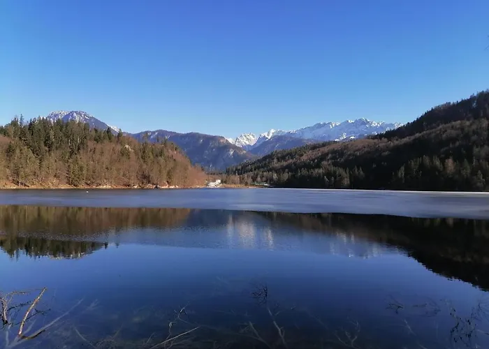 Bio-bauernhof Hecherhof * Thiersee