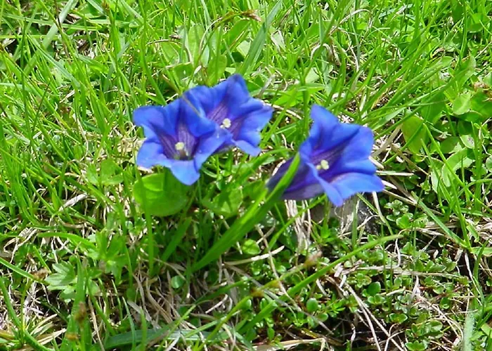 Bio-bauernhof Hecherhof *