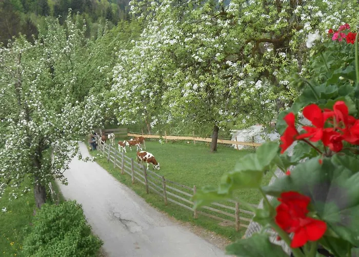 Bio-bauernhof Hecherhof * Thiersee